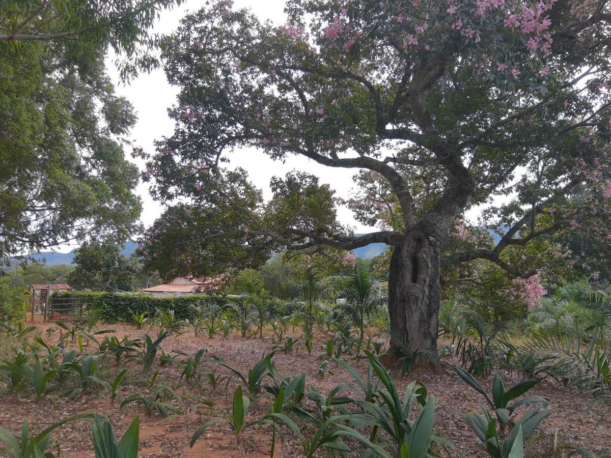 Chalé Veredas e Buritis Pirenópolis Extérieur photo