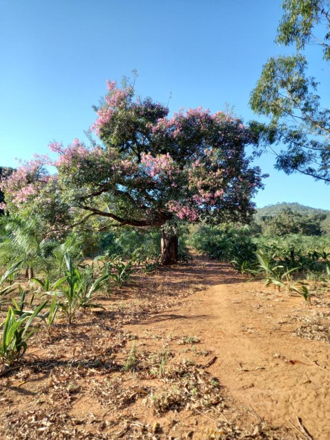 Chalé Veredas e Buritis Pirenópolis Extérieur photo
