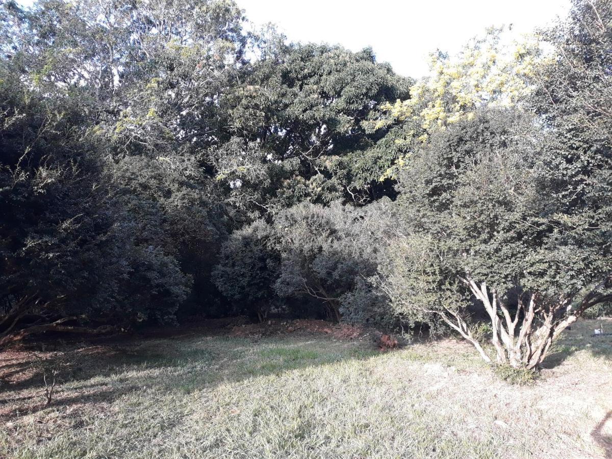 Chalé Veredas e Buritis Pirenópolis Extérieur photo